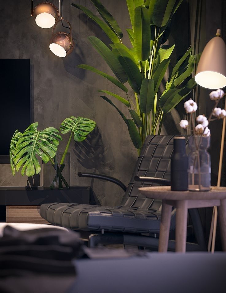 a living room filled with furniture and plants