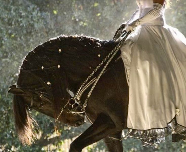 a man riding on the back of a brown horse in front of trees and bushes