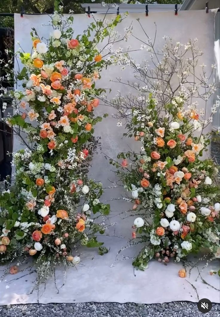 two white and orange flowers are on display