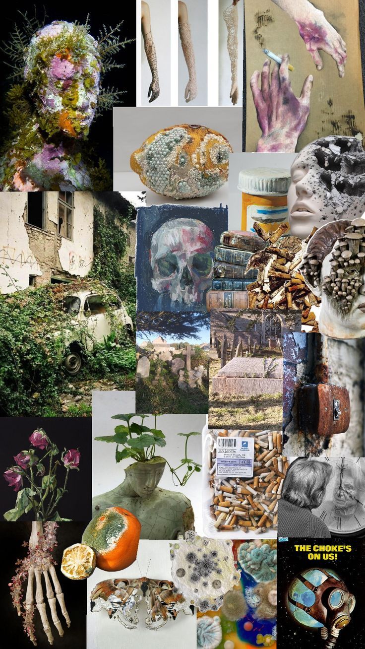 a collage of pictures with flowers, plants and other things in it's center