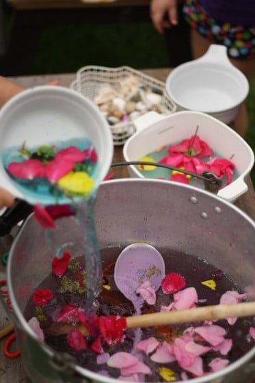 a person pouring water into a pot filled with flowers