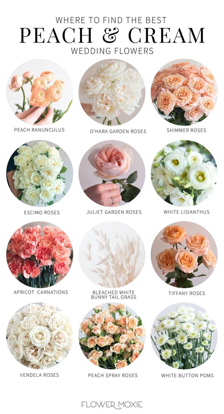 a bunch of flowers that are in the middle of a white and pink poster with words on