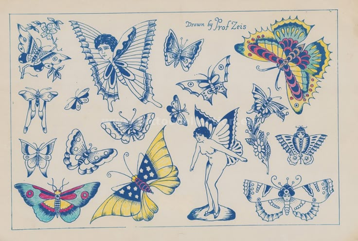 an old book with many different butterflies on it