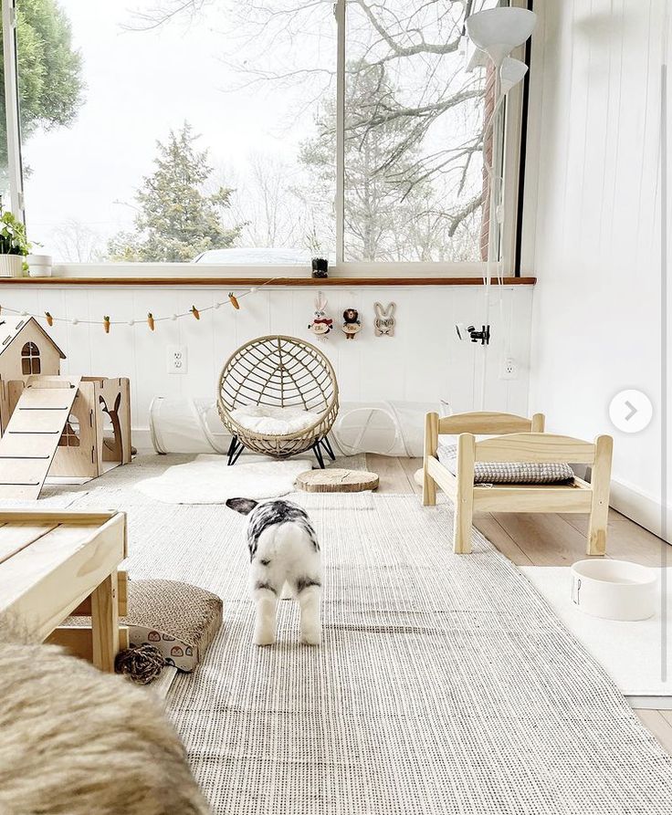 a dog standing in the middle of a living room