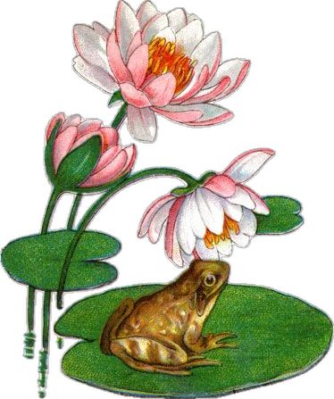 a frog sitting on top of a green lily pad next to pink and white flowers