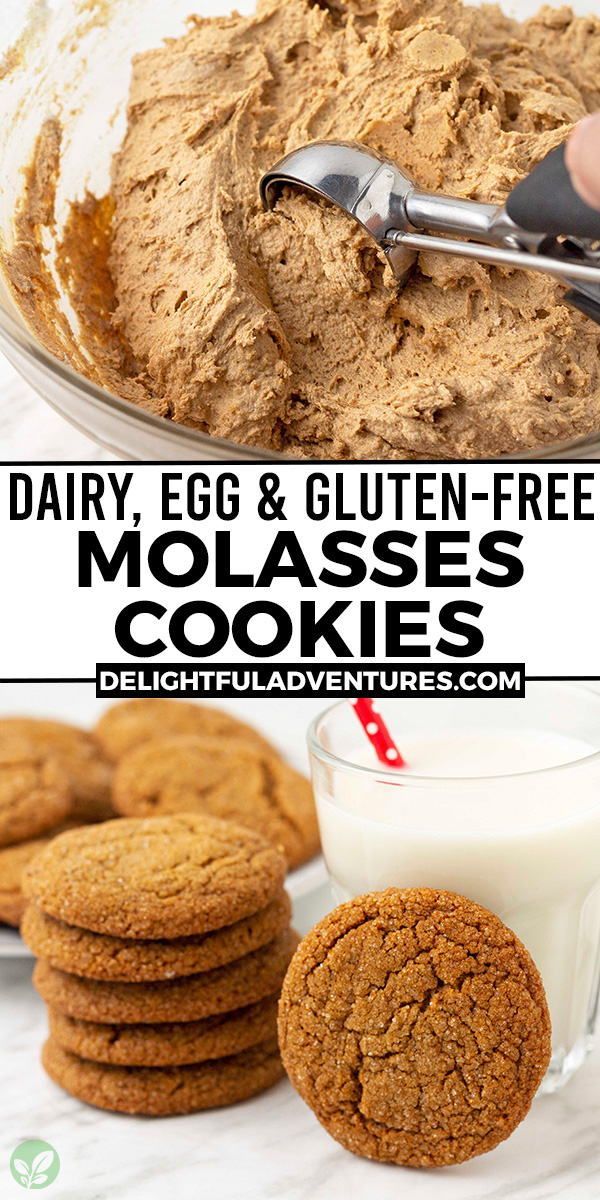 the recipe for dairy egg and gluen - free molasse cookies is shown