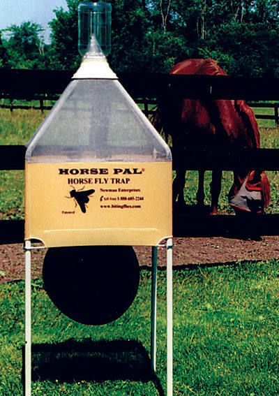 a horse is grazing in the field behind a feeder for horses to drink from it