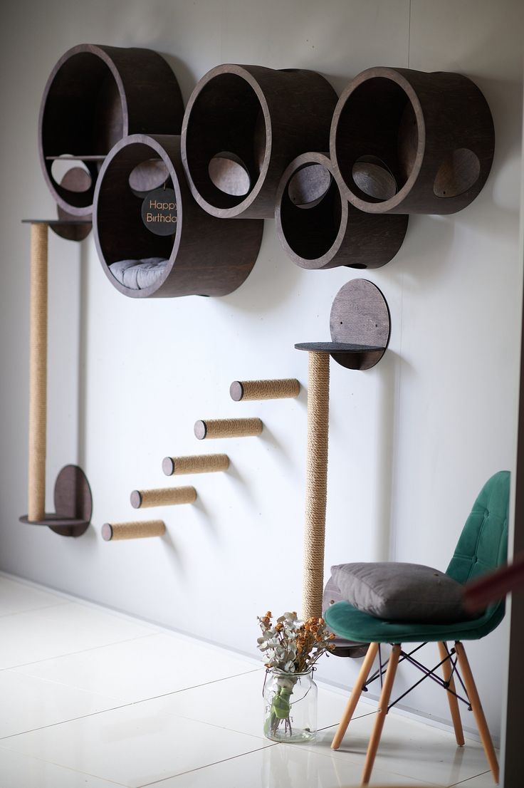 a room with several shelves and chairs on the wall next to a plant in a vase