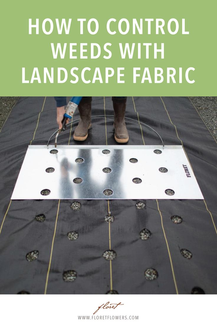 a person standing on top of a tarp with the words how to control weeds with landscape fabric