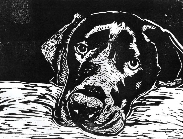 a black and white drawing of a dog