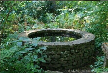 an outdoor pond surrounded by trees and plants