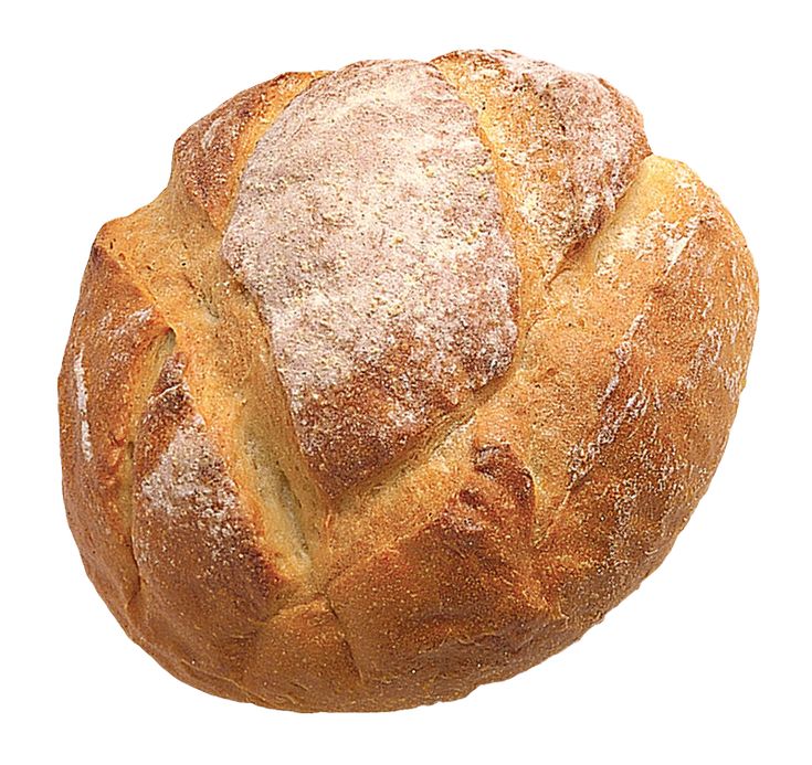 a round loaf of bread on a white background