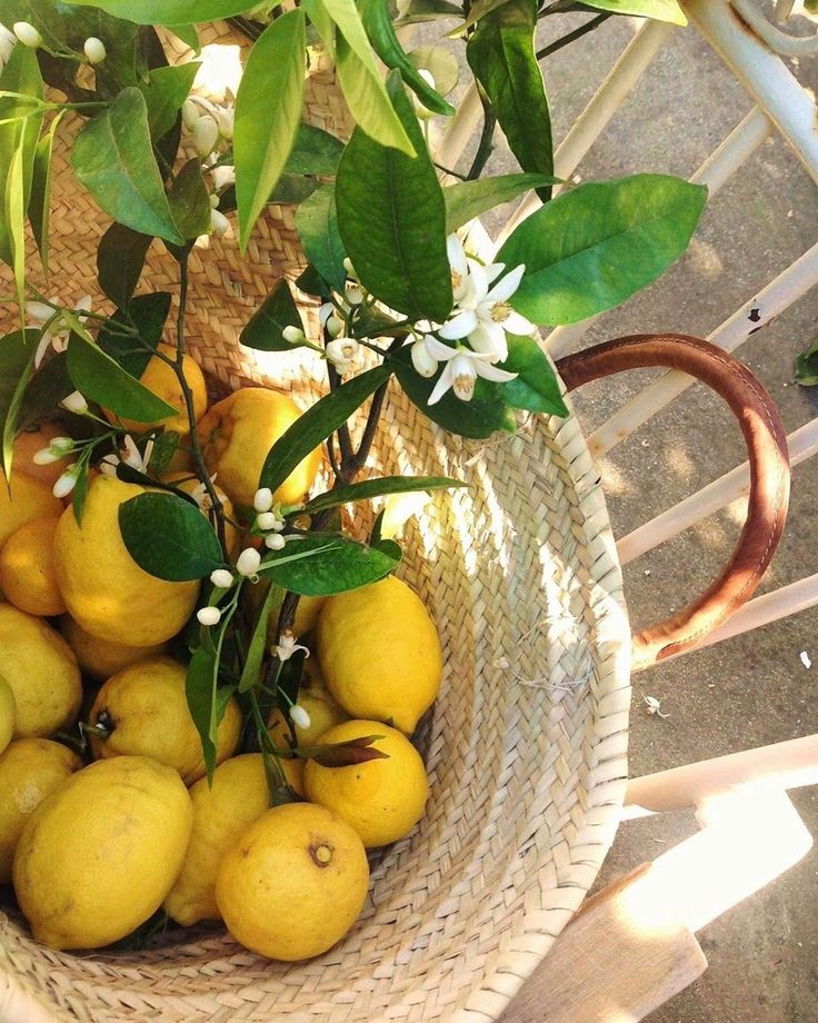 a basket filled with lemons sitting on top of a table