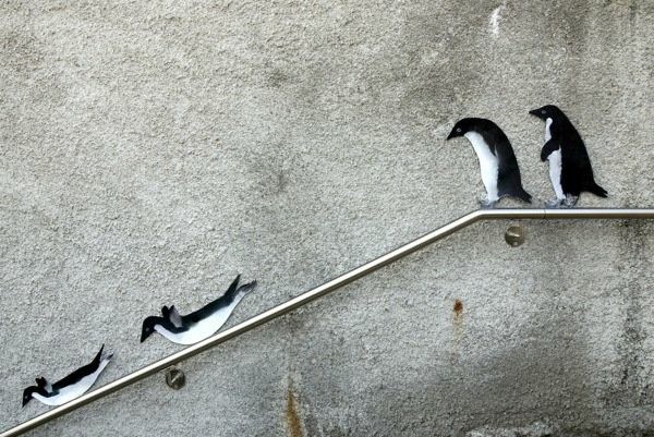 three penguins sitting on top of a metal railing next to each other in front of a concrete wall