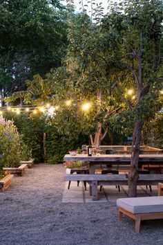 an outdoor seating area with benches and lights strung from the trees in the back ground