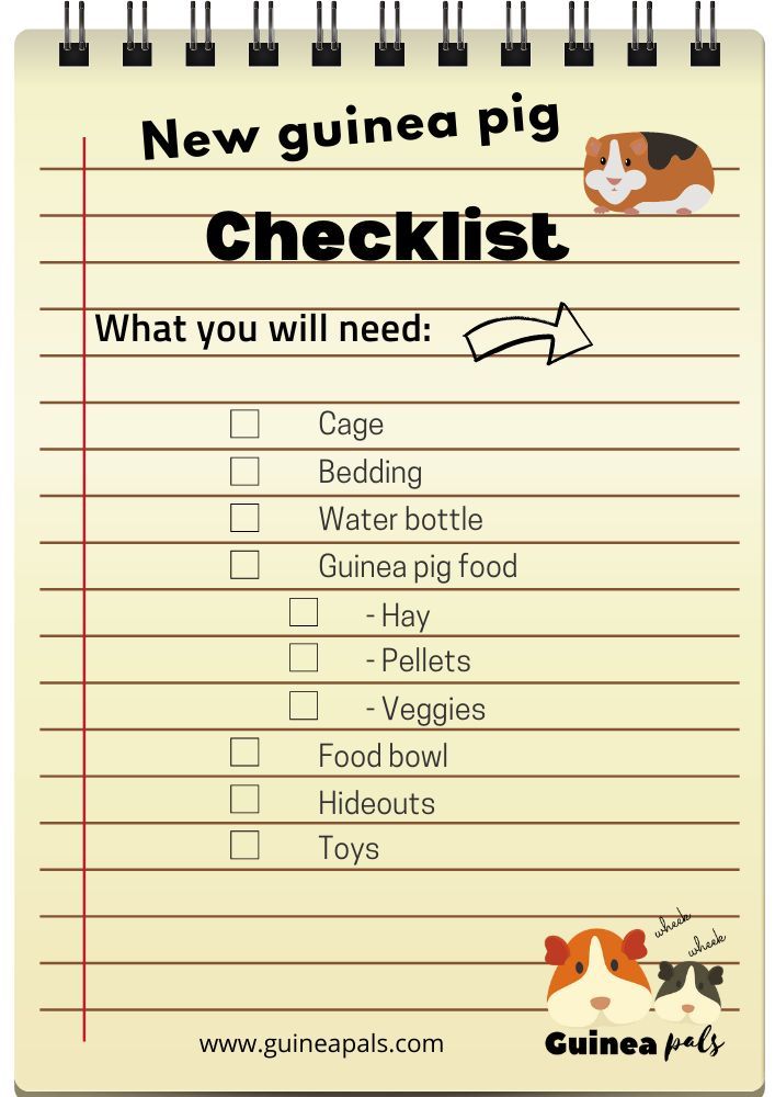 a new guinea pig checklist is shown on a notepad with the words, what you will need