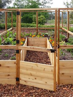 an outdoor garden area with raised wooden planters and plants growing in the ground, surrounded by mulch