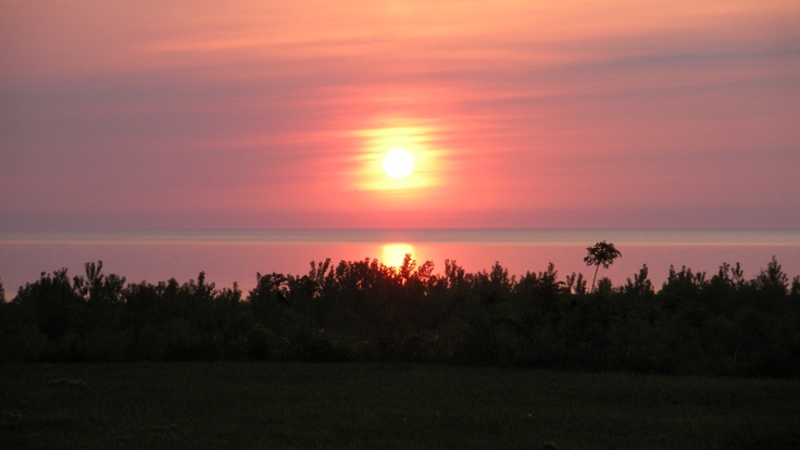 the sun is setting behind some trees