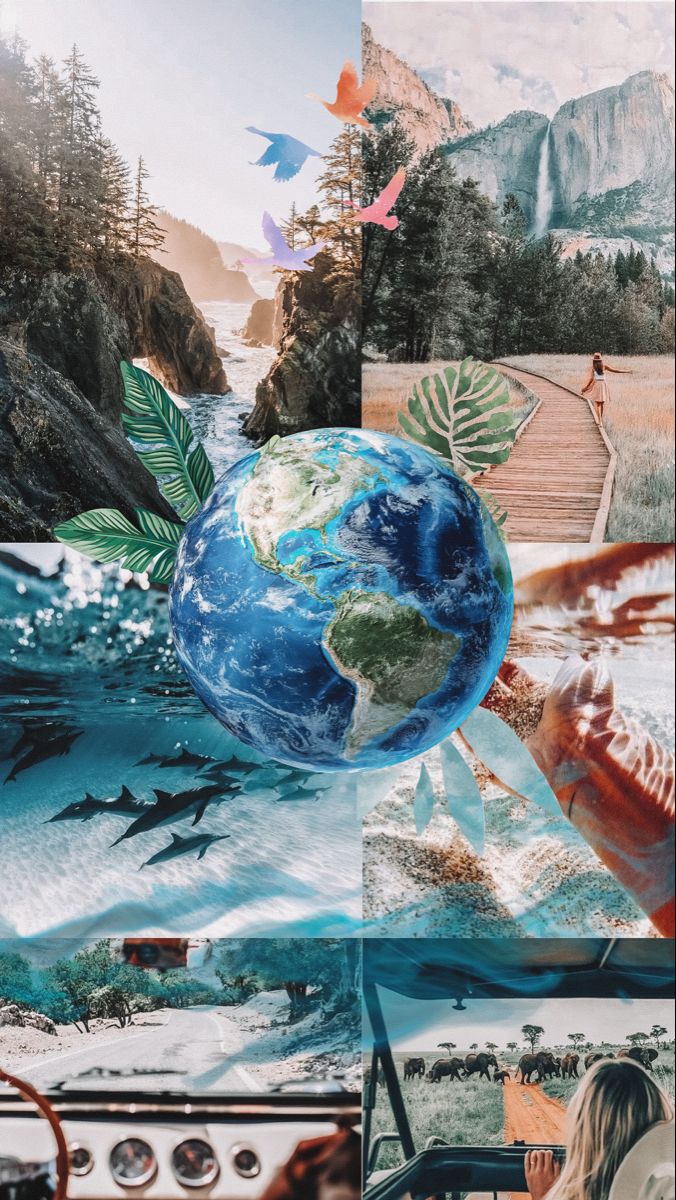 a collage of images with people and animals around the world, including trees, mountains, water, birds, and other things