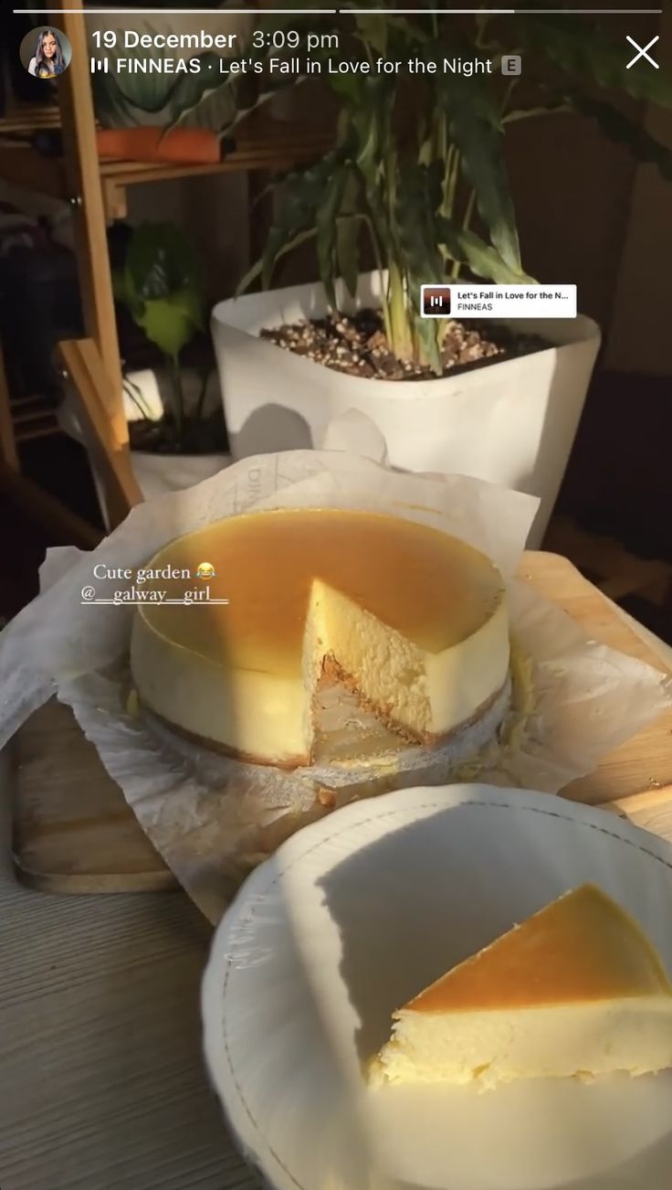 a piece of cheesecake sitting on top of a white plate next to a potted plant