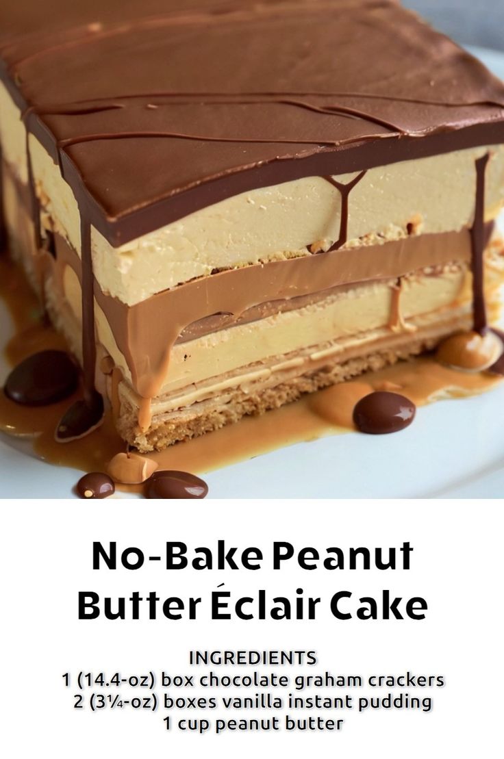 a piece of cake with chocolate and peanut butter on top