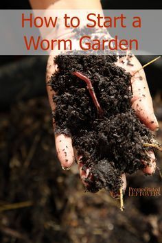 a person holding soil in their hands with the title how to start a worm garden