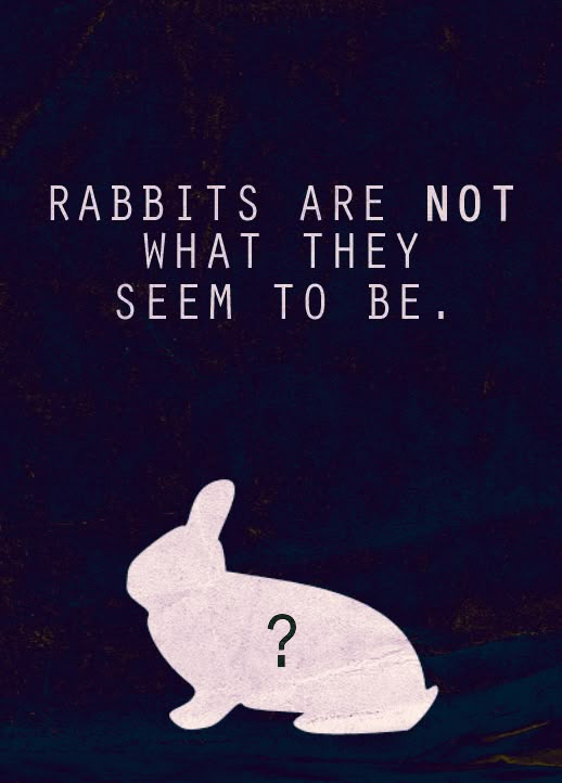 a white rabbit sitting in the dark with a question mark on it's chest