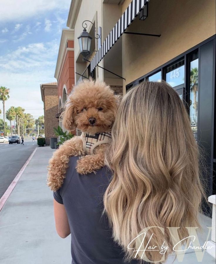 Dark Root Honey Blonde Balayage, Dusty Roots Blonde, Beige Blonde Hair With Dark Roots, Balayage Dark Blonde To Light Blonde, Dark Brown Root Blonde Balayage, Hair Melt Blonde, Natural Brown Roots With Blonde, Darker Roots Brown Hair, Honey Blonde Melted Root