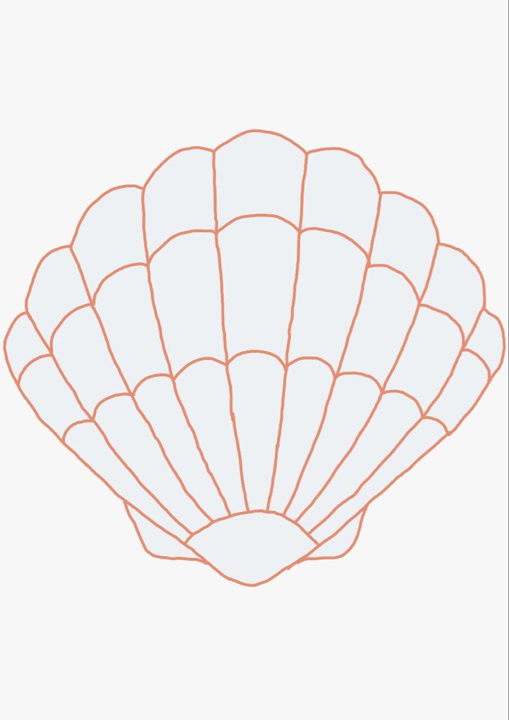 an orange line drawing of a scallop shell