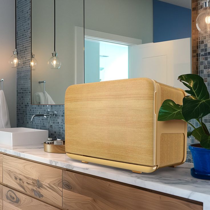 a bathroom with a sink, mirror and plant on the counter top in front of it