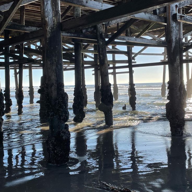 the underside of an old pier with water under it and sun shining in the distance