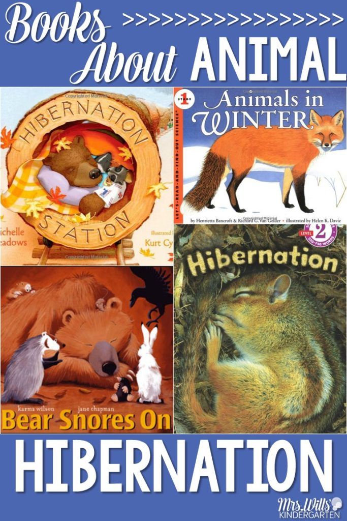 books about animals in winter with the title bear stories on hibernation written below