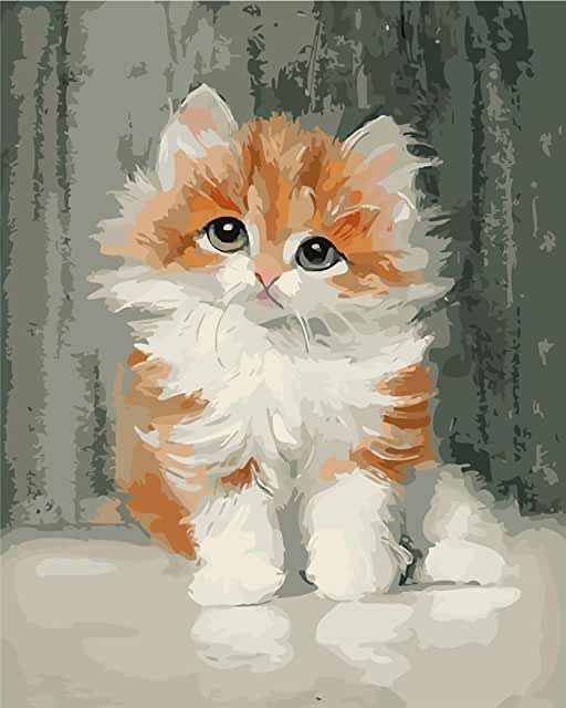 an orange and white kitten sitting on top of a floor