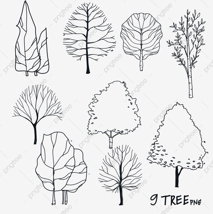 different types of trees drawn in black and white, tree, drawing png and psd