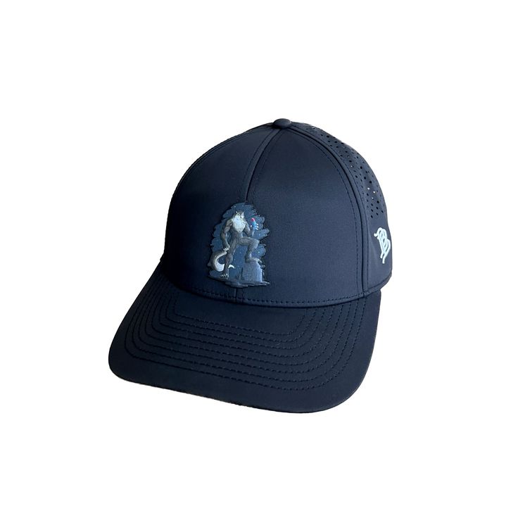 a baseball cap with an image of a horse on the front, and a blue background