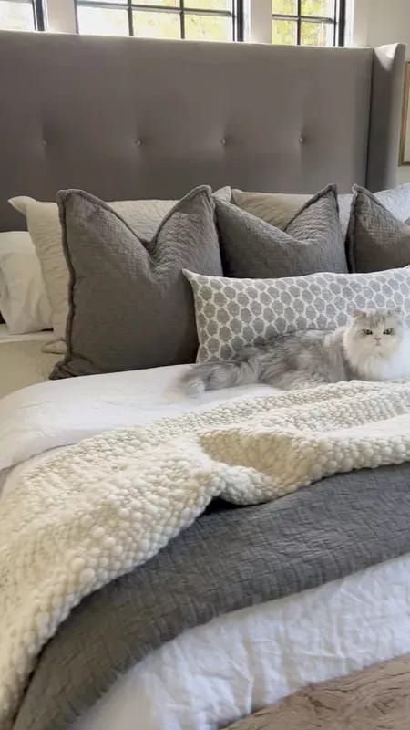 a cat laying on top of a bed next to pillows and blankets in a bedroom