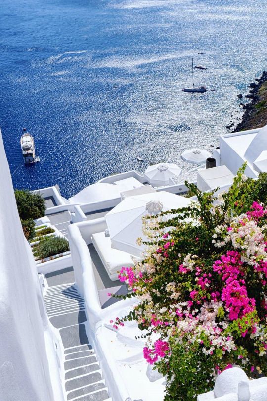 flowers and umbrellas on the roof of a white building with blue water in the background