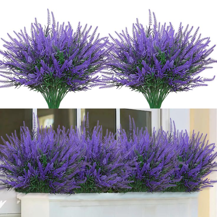 three purple flowers are in a white planter