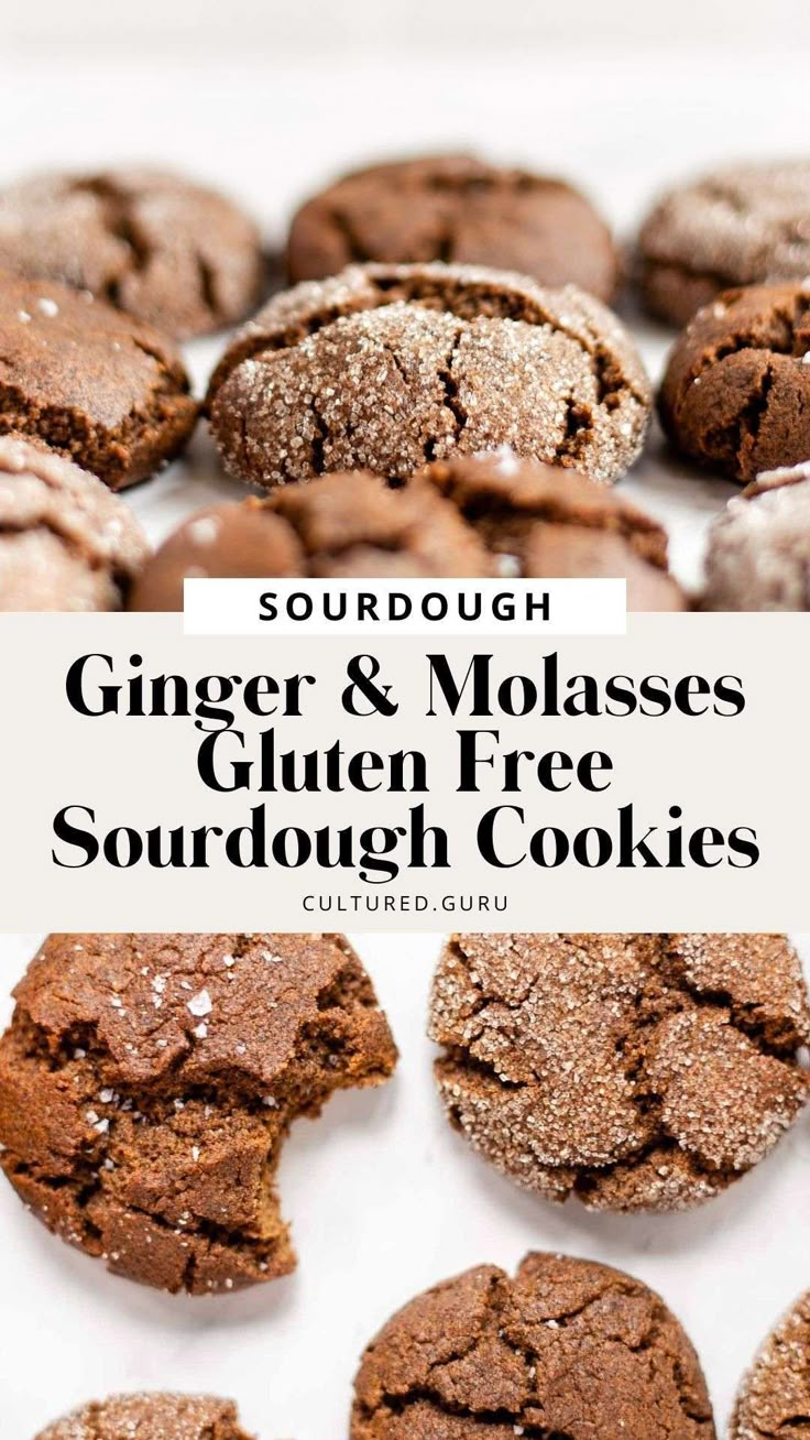 ginger and molasses gluen free sourdough cookies