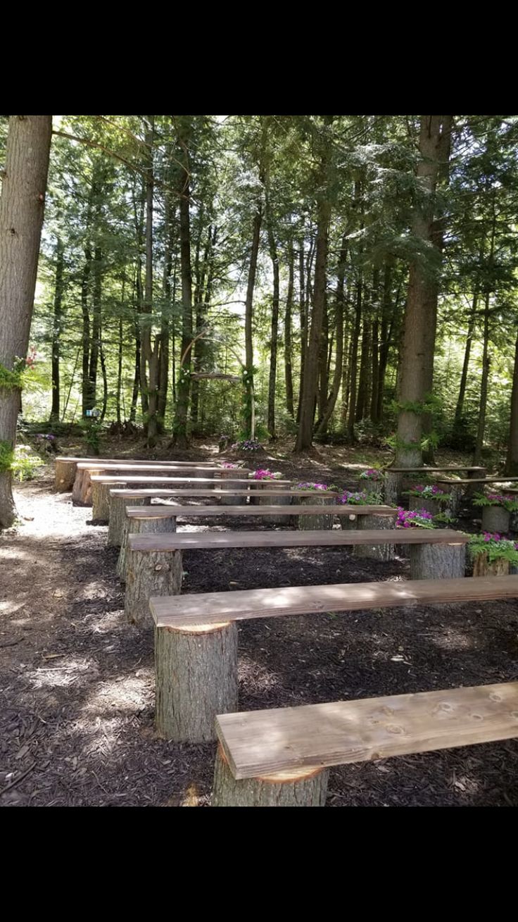 several wooden benches in the middle of a wooded area with flowers growing on each bench