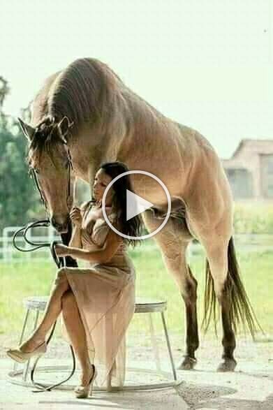 a woman sitting on a chair next to a horse