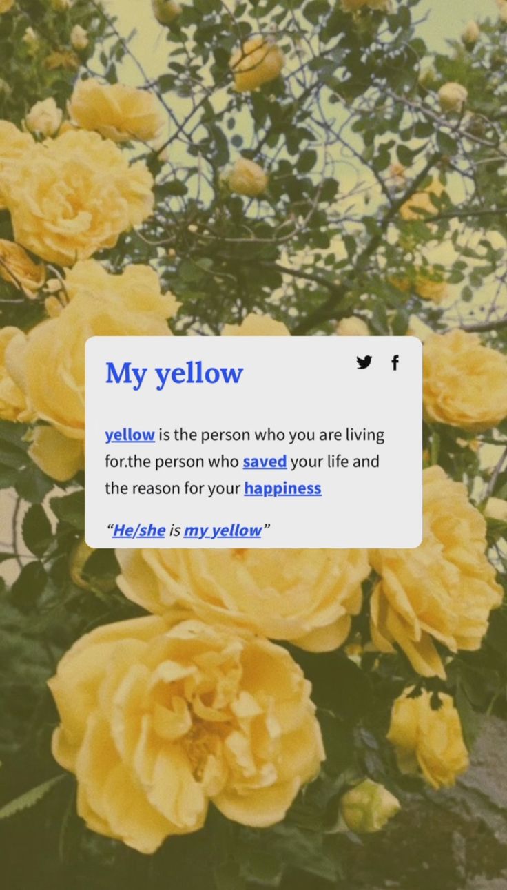 yellow roses with the text, my yellow is the person who you are living for the person who saved your life and the reason for your happiness