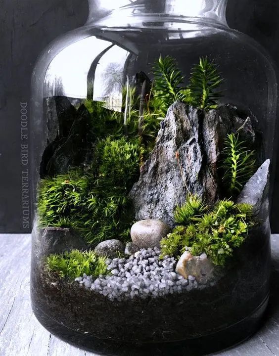 a glass jar filled with moss and rocks