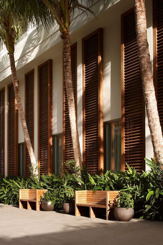 two wooden benches sitting next to each other near trees and plants in front of a building