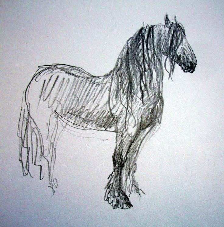 a black and white drawing of a horse on a sheet of paper with lines drawn across it