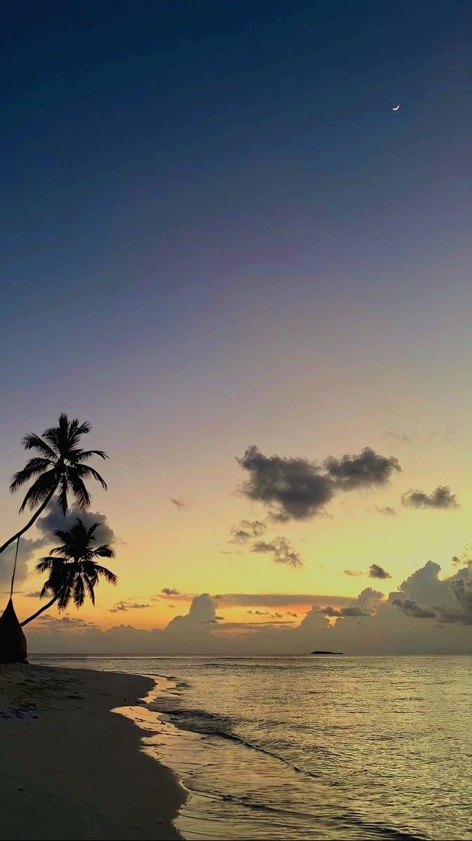 the sun is setting over the ocean with palm trees on the shore and in the foreground