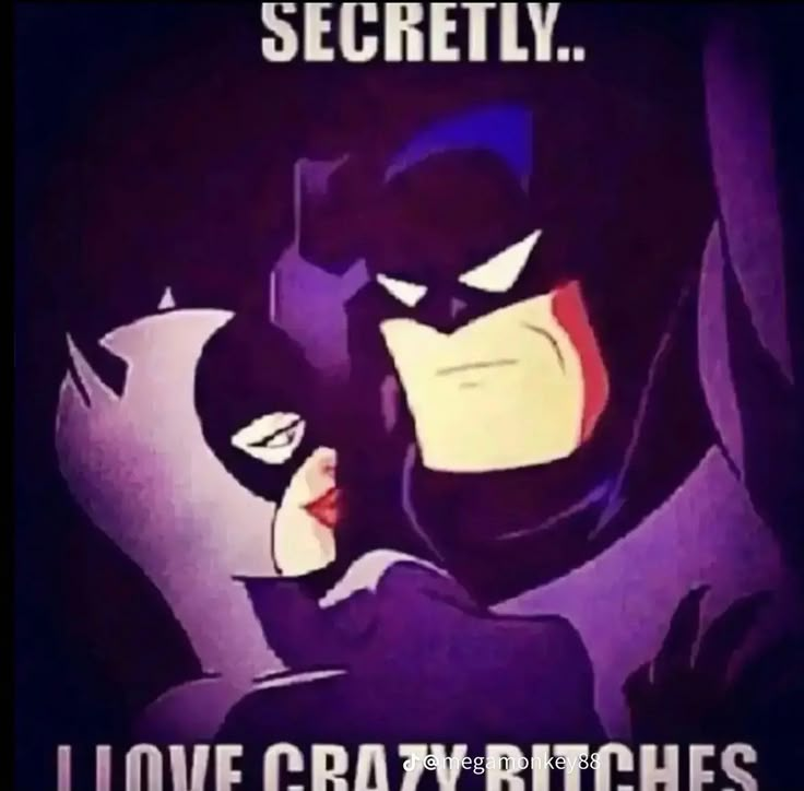 Batman And Catwoman, Im Batman, Im Going Crazy, 200m, Silly Pictures, Funny Reaction Pictures, Silly Me, Lose My Mind, Really Funny Pictures