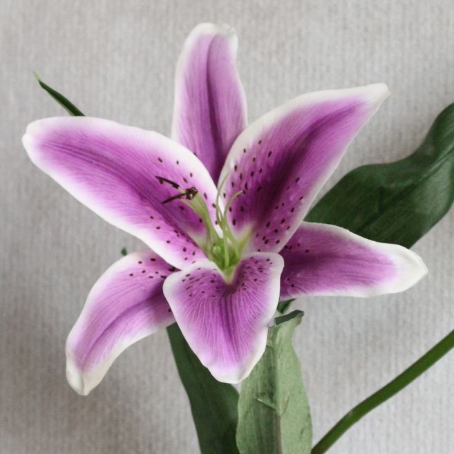 a purple and white flower with green leaves on the bottom right corner is an instagram post about real touch lily wedding bouquets