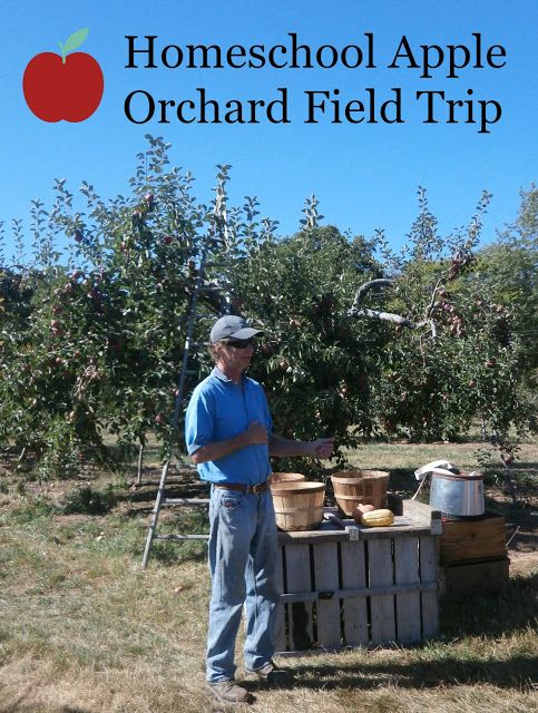 a man standing in front of an orchard filled with apples and buckets full of fruit