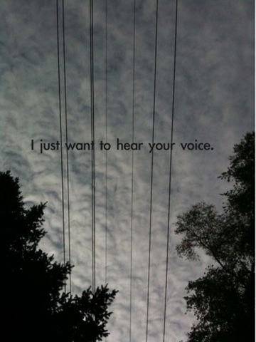 the words i just want to hear your voice are written on telephone wires above trees